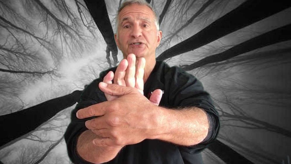 Эван Пантази КЮСЁ-ДЗЮЦУ 6: захваты и контроль