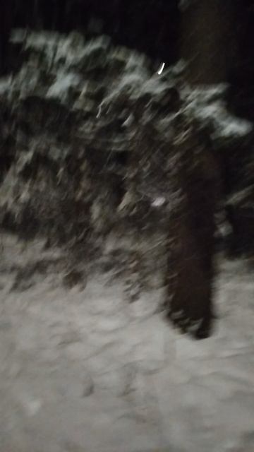 16-12-2025 Зимний парк