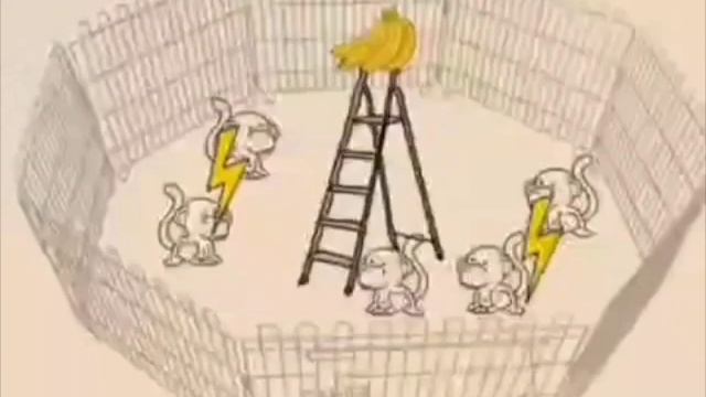 Эксперимент