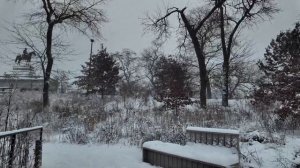 США. Снежная прогулка по парку в Чикаго