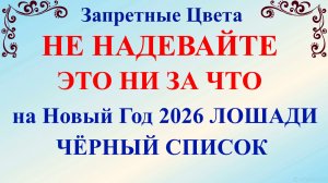 Что нельзя надевать Новый год 2026 Лошади. 7 важных правил, в чем встречать Наступающий Год Лошади.