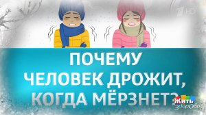 Мороз - не враг, а тест для организма. Жить здорово! Фрагмент выпуска от 16.12.2025