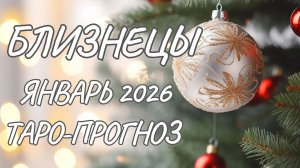 Близнецы ♊ Таро прогноз на январь 2026 года