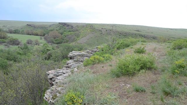 Зайцевский скалодром