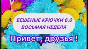 Бешеные крючки 6.0 Восьмая неделя