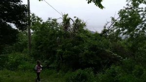 ЗАБЛУДИЛИСЬ // АТАКА КЛЕЩЕЙ // НОЧНОЙ ГОРОД //