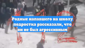 Родные напавшего на школу подростка рассказали, что он не был агрессивным