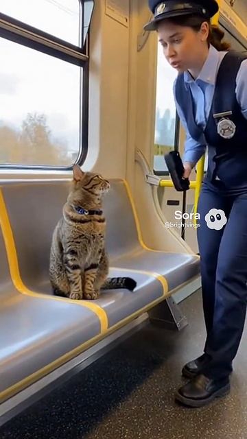 Кот в поезде #sora2 #ai #sora #humor #юмор #кот #кошки #котики #ии