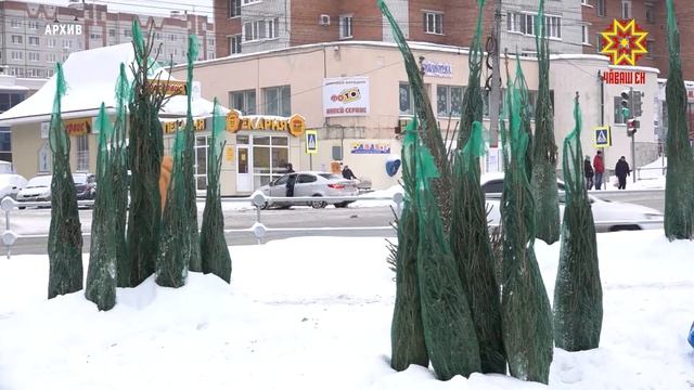 В Чебоксарах открылись елочные базары