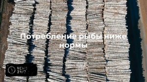 Самой популярной рыбой у россиян названа селедка