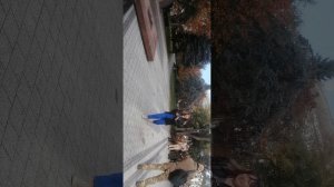 VID_20251104_103343.mp4