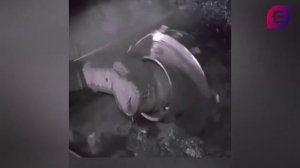 Когда экономика заканчивается и начинается физика| БРЕКОТИН