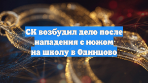 СК возбудил дело после нападения с ножом на школу в Одинцово