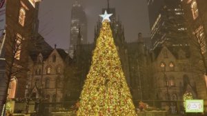 🇺🇸 Нью-Йорк, 5 утра , прогулка по снегу, Зимняя страна чудес в Центральном парке 🎄⛄❄️