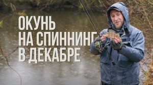Как уговорить пассивного окуня в декабре? Поиск, ошибки и рабочие приманки. Спиннинг на реке зимой