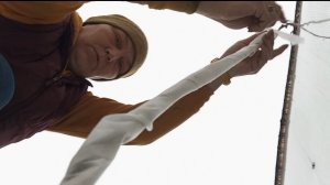 Моя оплошность- мне и исправлять. Киви Соло и Карпат Стратона Валентайн.