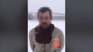 Житель Красноярского края от скуки поджег 166 кедров