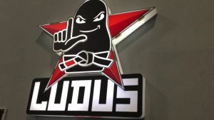 BJJ SEMINAR Alexander DEDA Faria 25032018 #bjf_seminar LUDUS