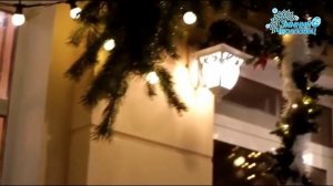 Горбунова Вероника-Череповец предновогодний