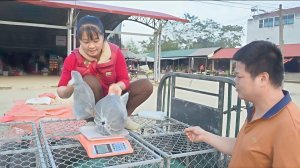 Продаю фазана после 9 месяцев выращивания. Везу фазана на трицикле на рынок. Фуонг.Жизнь во Вьетнаме