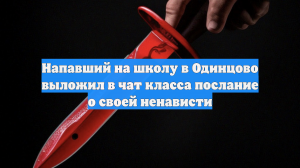 Напавший на школу в Одинцово выложил в чат класса послание о своей ненависти