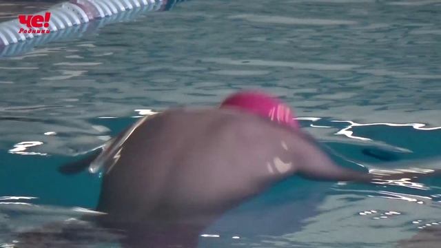 Плавание дети