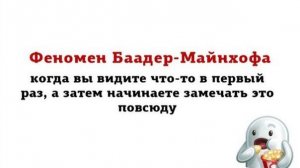 Феномен Баадера-Майнхоф