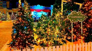 РЯЗАНЬ НОВОГОДНЯЯ СТОЛИЦА ( ТОРГОВЫЙ ГОРОДОК )