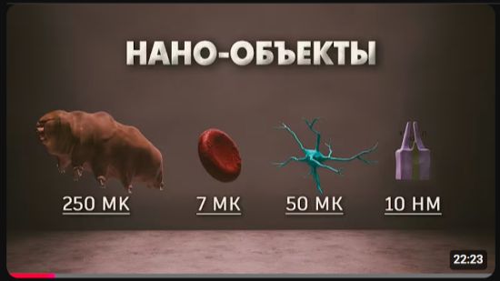 Путешествие в заквантовый мир Визуализация субатомных частиц вирусов и молекул [get.gt]