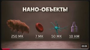 Путешествие в заквантовый мир Визуализация субатомных частиц вирусов и молекул [get.gt]