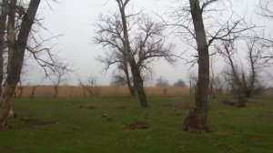 РЫБАЛКА С ЖЕНОЙ И БЕЗ