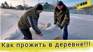 Жизнь в Омской деревне. Зимние работы и сельский быт. Коровы, свиньи и быки нашего подворья.