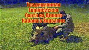 Традиционная Европейская Охота на Дикого Кабана в Хорватии