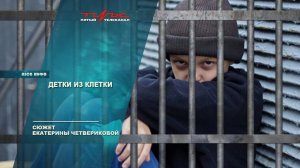 Детки из клетки