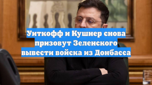 Уиткофф и Кушнер снова призовут Зеленского вывести войска из Донбасса