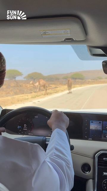 По Оману вместе с FUN&SUN только на крутых тачках смотреть онлайн