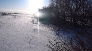 Охота на зайца по первому снегу 14.12.2025