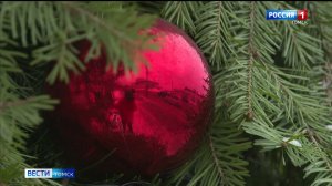 Вести-Томск, выпуск от 16.12.2025 11:30