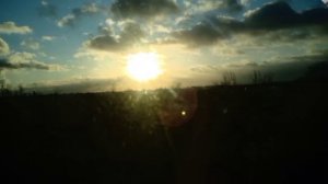 МЫ НЕ РОБОТЫ,МЫ ЛЮДИ