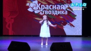 В Центральном ДК состоялся ежегодный патриотический фестиваль-конкурс «Красная гвоздика»