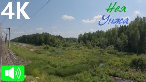 Через густые леса Костромской области. Нея - Унжа из окна поезда