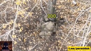 И один в поле воин, если он по русски скроен