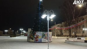 Ёлки ждут веселья.