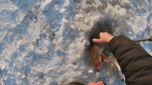 Жерлицы проверка. Первый лёд 2024 г. 1.