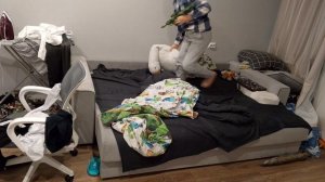 Гоголь против всех