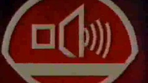 VID_REC_20100114_195327 (жмых эффект)