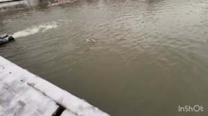 Пробный выход )))