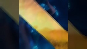 эдит с стивом