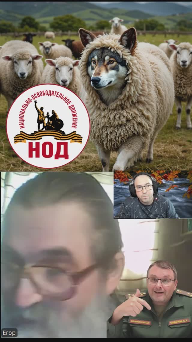 В отряде Федорова были издевательства. Рябова заявила бегите от туда Радио НОД Егор Кобзев#shorts смотреть онлайн