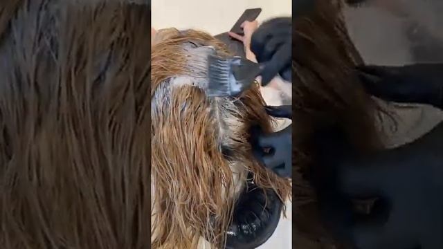 Color Basic. Урок 14. Первичное окрашивание